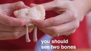 You should See Two Bones